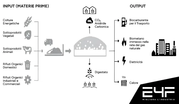 funzionamento impianto biometano fasi produzione funzionamento impianto biometano fasi produzione